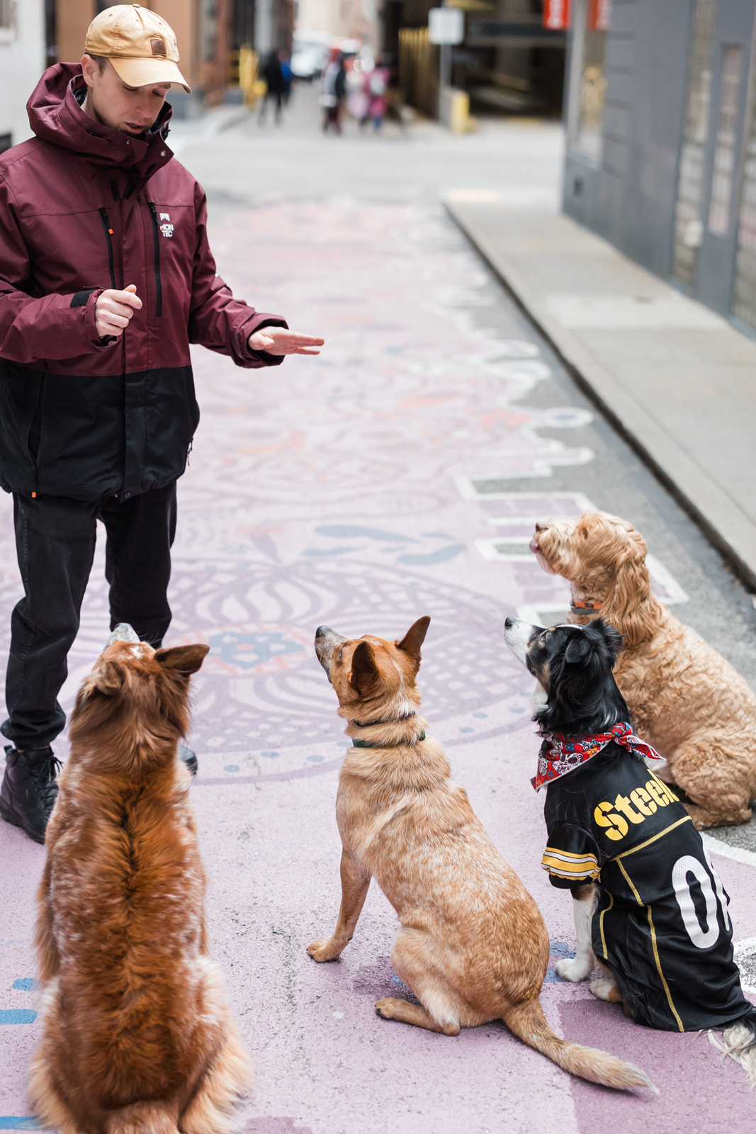 Leash Walking Class