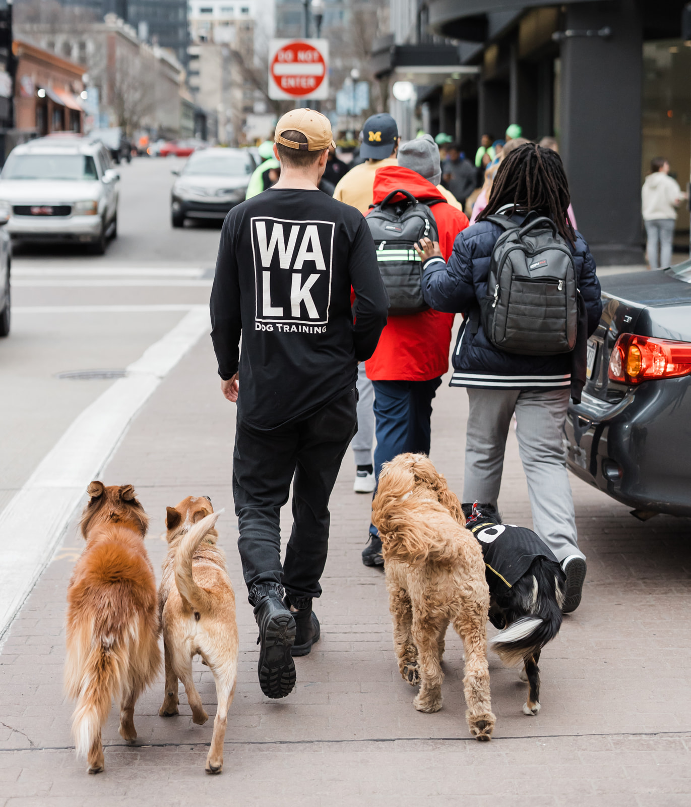 Off-Leash Training